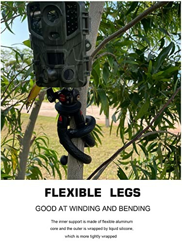 Camera mount with flexible legs attached to a tree branch.