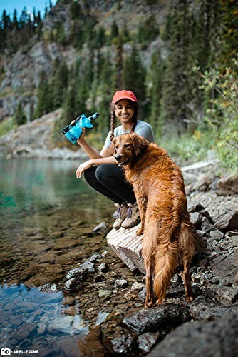 Woman with a dog by a lakeside holding binoculars, surrounded by trees.